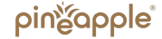 Logo of Pineapple brand with a stylized pineapple icon