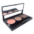 3 pan eyeshadow prefilled